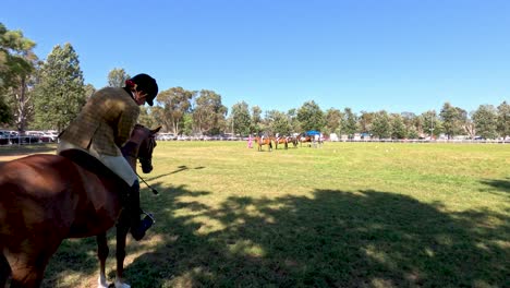 rider on horse watching an event in field