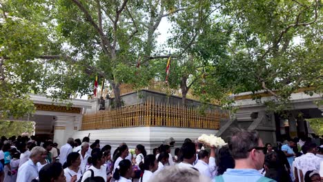 crowd gathers near the sacred bodhi tree in anuradhapura, sri lanka, showcasing a significant cultural and spiritual event. the scene is vibrant and full of energy.