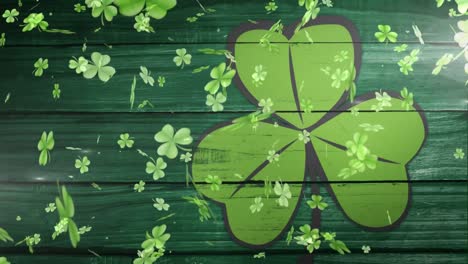 Animation-of-clovers-falling-with-light-green-clover-leaf-on-background