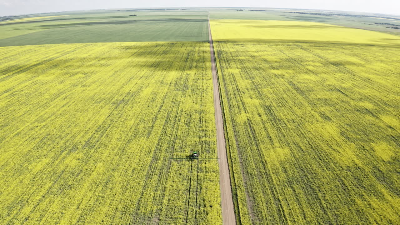 Farming Tractor Spraying The Yellow Canola Fields On A Beautiful Day In Saskatchewan, Canada