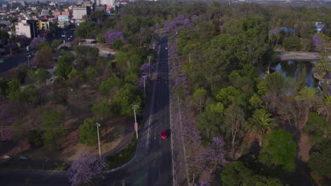 Aerial-birds-eye-view-Chapultepec-district-surrounded-by-park-in-spring-time-by-residential-buildings