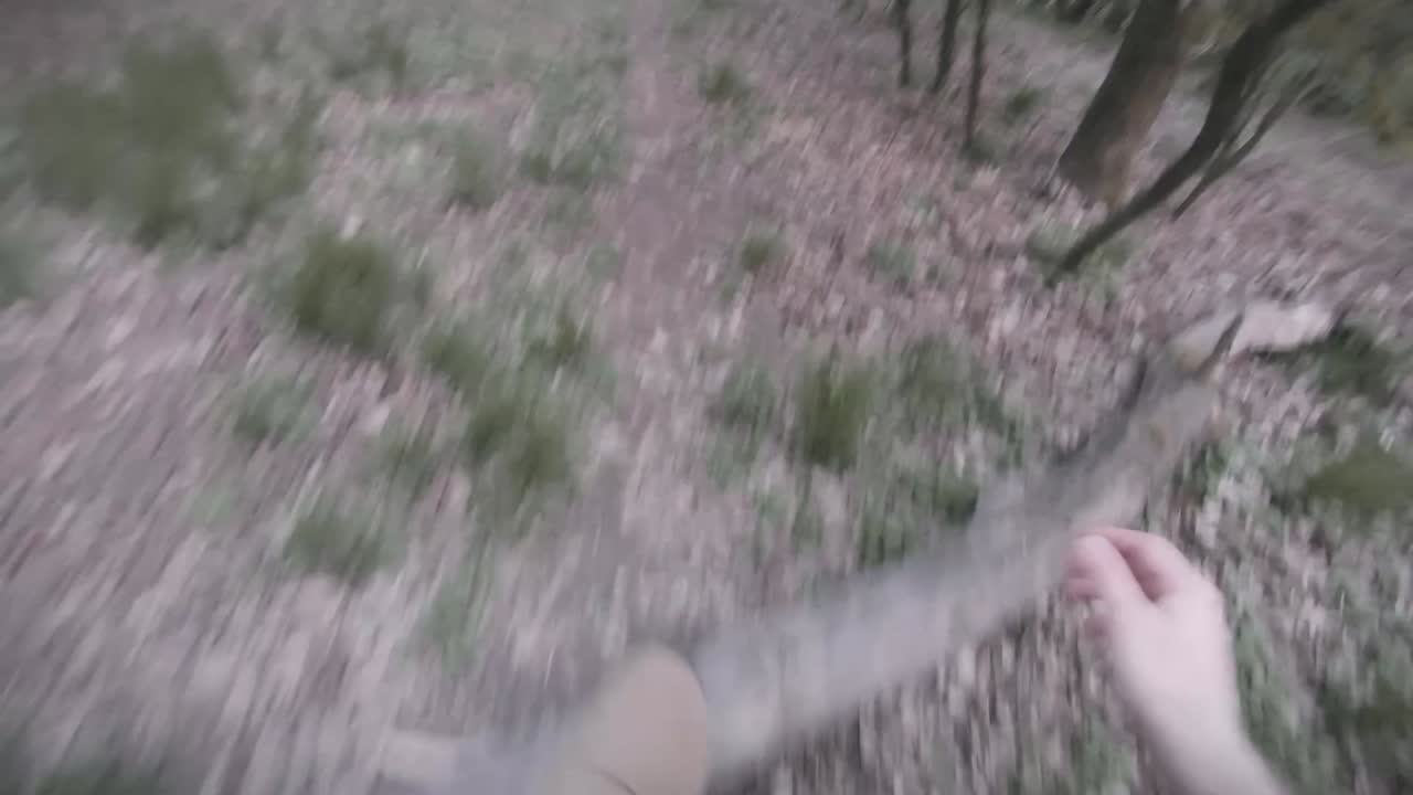 행복한 산책과 숲속의 통나무 위로 뛰어오르는 자연