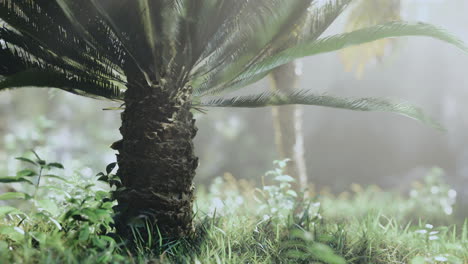 exploring lush greenery beneath a majestic palm tree at dawn