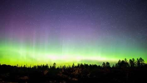 time-lapse of northern lights in the skies above the forests of the upper mid west