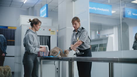airport pet inspection