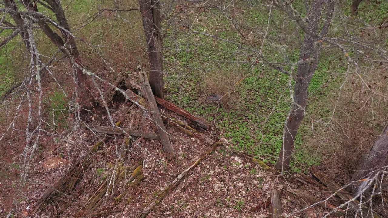 Broken foundation of old homestead in drone ascend over orchard view