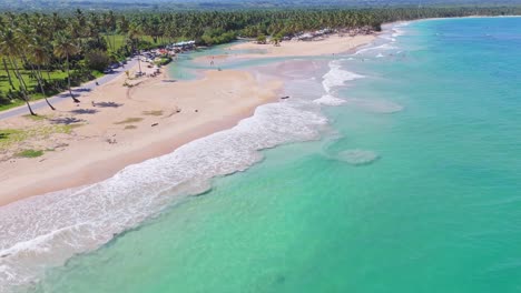 aerial view of a tropical beach with turquoise water and palm trees