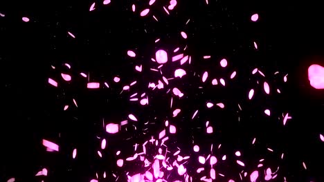 los pétalos de los cerezos en flor cayendo sobre un fondo negro, animación de brillo en bucle,