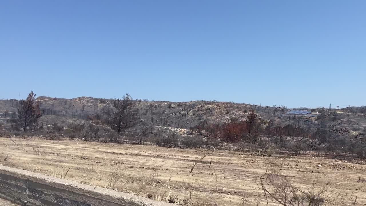paisaje destruido de rodas después de los incendios forestales, conducir por vista