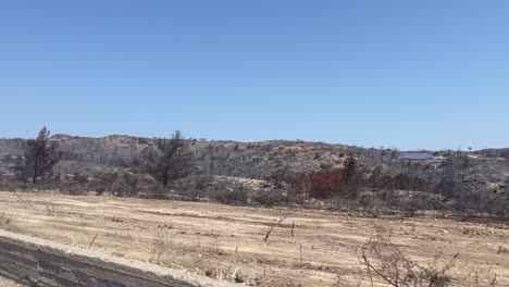 Destroyed-landscape-of-Rhodes-after-wildfires,-drive-by-view