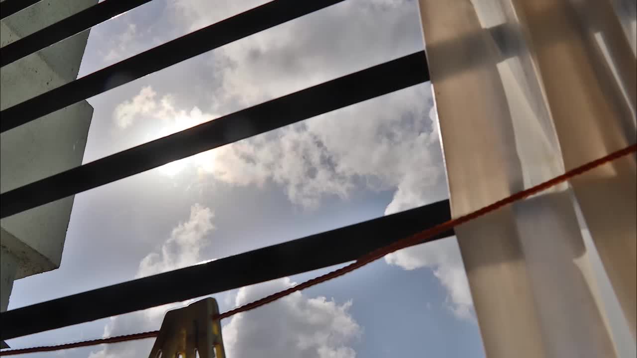 내 창을 통해 화창한 오후