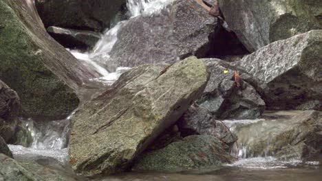 closeup of a stream finds its way through a rocky stream bed