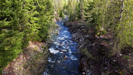 Toma-En-Movimiento-Lento-De-Un-Río-Que-Fluye-En-Un-Bosque-Siempre-Verde-En-El-Noroeste-Del-Pacífico,-Estado-De-Washington