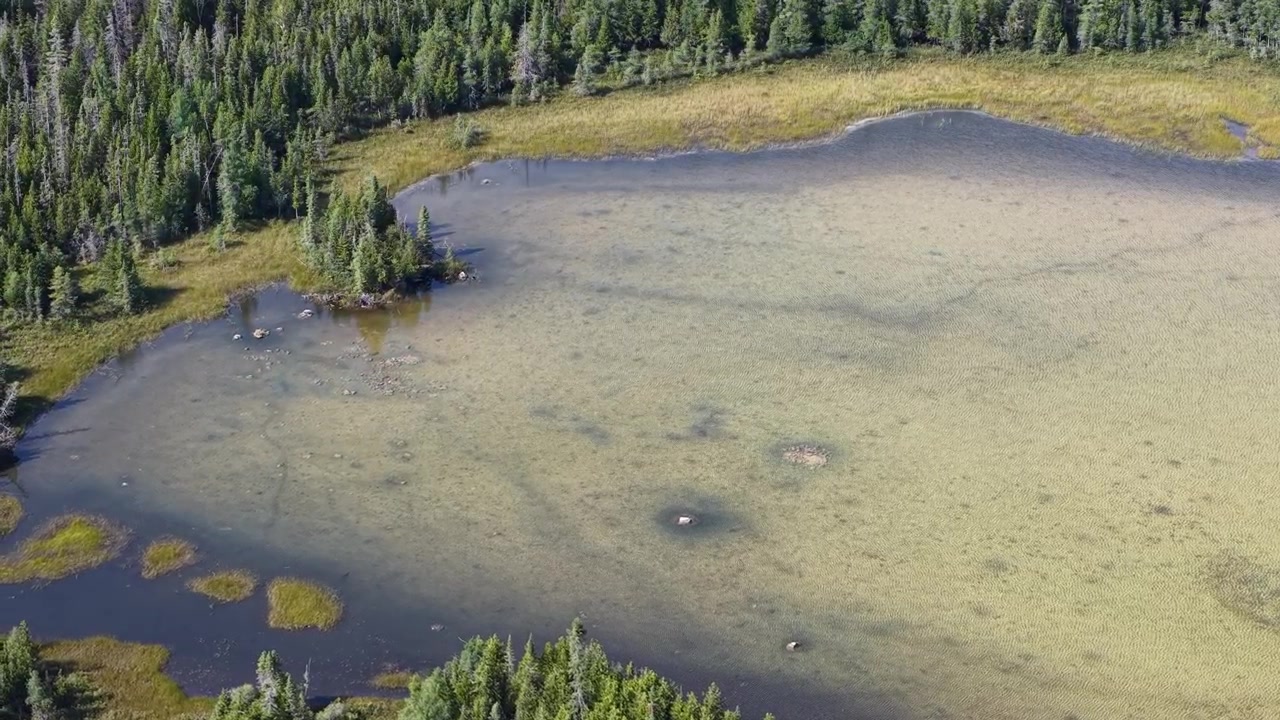 Aerial shot of wilderness lakes and woodlands near Hessel, Michigan, with streams leading to Lake Huron.