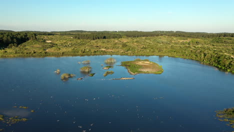 Antena-De-Vogelmeer-Con-Pájaros-Que-Pasan-Bajo-Una-Hermosa-Puesta-De-Sol-En-El-Parque-Nacional-Kennemerland,-Países-Bajos