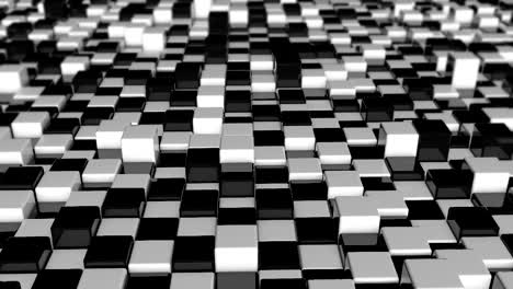 movement of cubes. futuristic background with black and white cubes. cubes with reflection