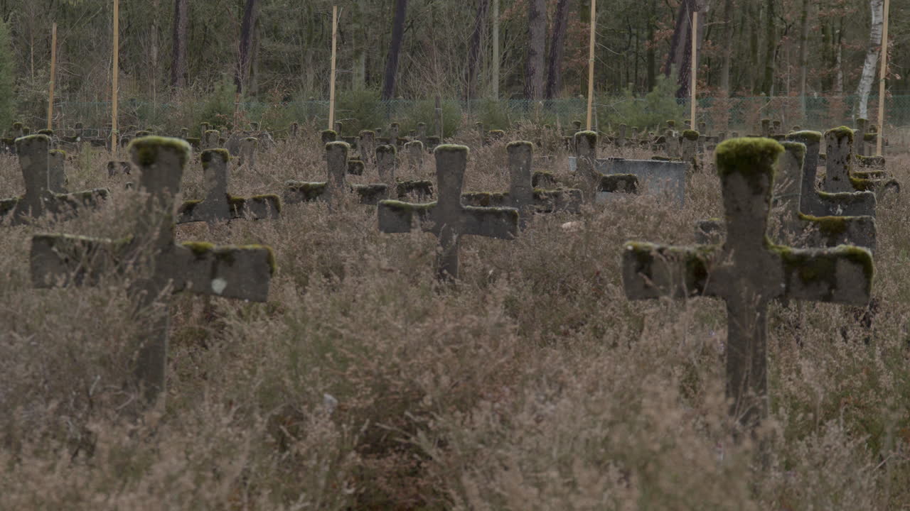 Close static shot old gravestones in weed overgrown graveyard