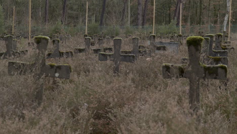 close static shot old gravestones in weed overgrown graveyard