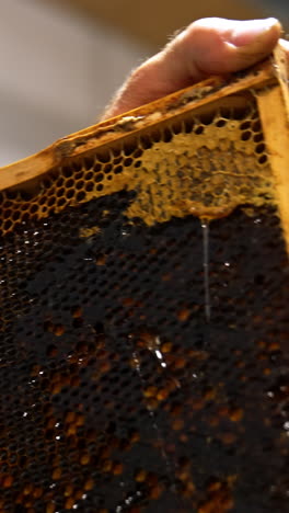 opening honey cells with electric knife. apiculturist using special equipment to prepare frames for honey extraction. close up. blurred backdrop. vertical video