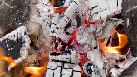 Cozy-Fire:-Video-of-Burning-Logs-and-Crackling-Flames-with-Logs-Turning-White