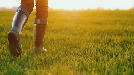 a farmer in rubber boots walks across a green field only legs are visible in the frame steadicam fol