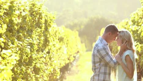 Pareja-Sonriente-Bailando-Entre-Vid