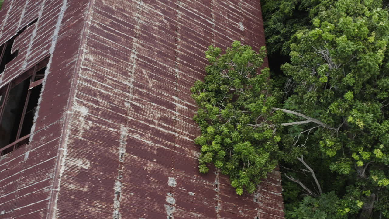 vista de pájaro mientras la madre naturaleza comienza a recuperar una fábrica abandonada hace mucho tiempo en los canos puerto rico