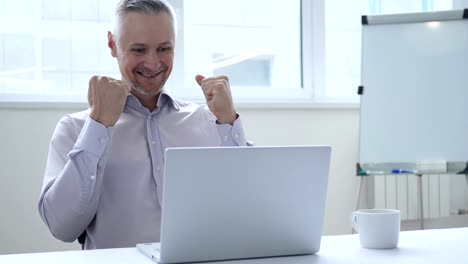 businessman celebrating success, working on laptop