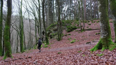 man walking in dense forest late fall season at mullerthal hiking trail in luxembourg with camera on side