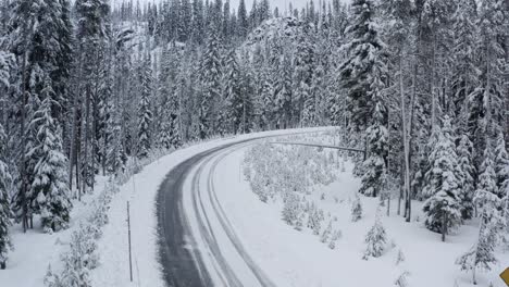 a snowy road sits covered in ice, surrounded by forest