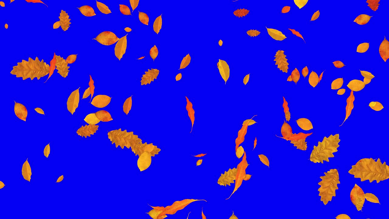 Visual effects, VFX, falling autumn leaves on blue screen 3D animation