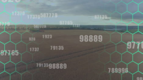 animation of numbers over field