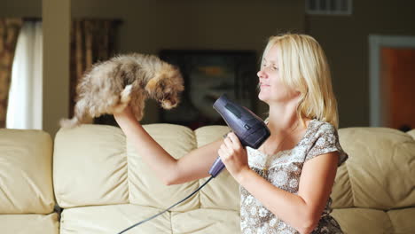 Woman-Drying-Puppy-With-A-Blow-Dryer