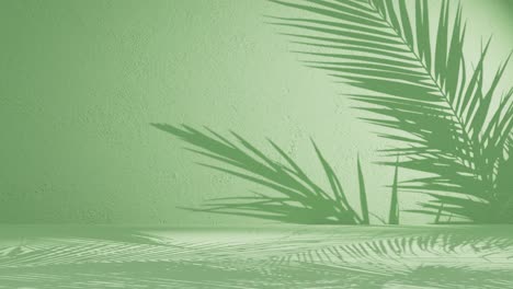 a palm leaves shadow on green background wall with copy space