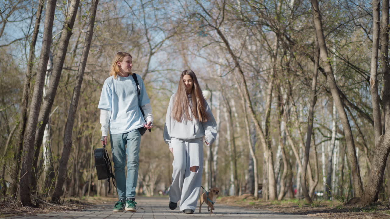 젊은 성인들이 공원에서 강아지를 산책시키는 모습, 영화감독 지망생들이 가로등과 자작나무를 지나면서 프로젝트 아이디어를 논의하고, 로우 앵글 숏으로 나무와 탁 트인 하늘을 강조하며, 작은 강아지가 앞에서 걷고 있어요.