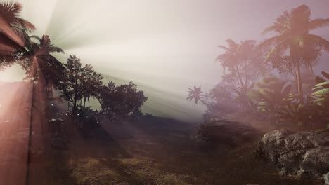 Sunset-Beams-through-Palm-Trees