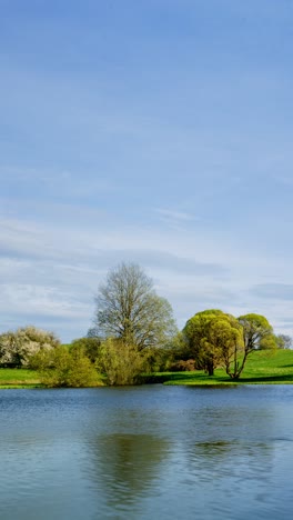 vertical timelapse of serene spring landscape with blooming trees and reflections on calm lake under bright blue sky with moving clouds