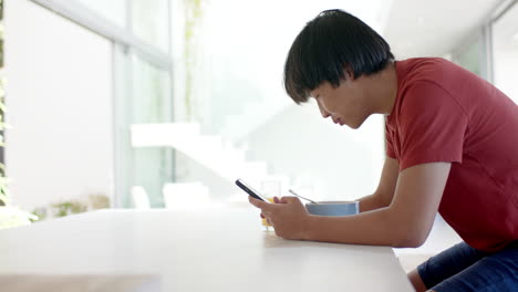 teenage asian boy focused on his smartphone at home, with copy space