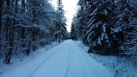 Beautiful-scenic-aerial-view-of-a-winter-forest-in-sunny-winter-day,-trees-covered-with-fresh-snow,-ice-and-snow-covered-road,-wide-angle-drone-shot-moving-backwards-slow-over-the-road