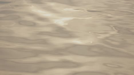 surface of water with sunlight reflection