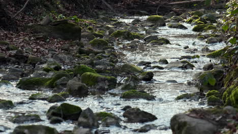 Small-stream-of-water-running-through-rocks-near-Romanel-sur-Lausanne,-Switzerland