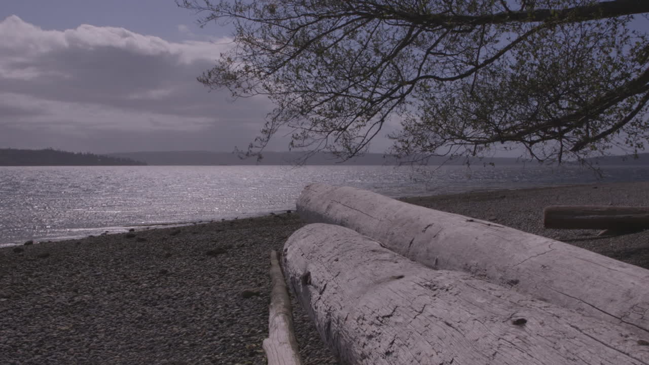 퓨젯 사운드, 워싱턴 주