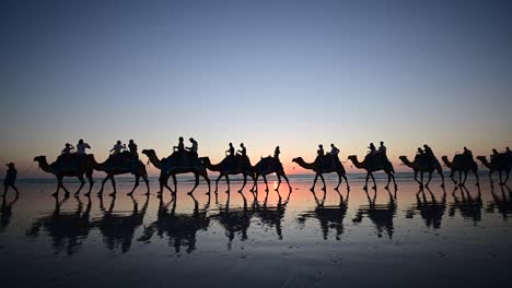 silhouette of tourists on camel ride convoy on cable beach broome western austral