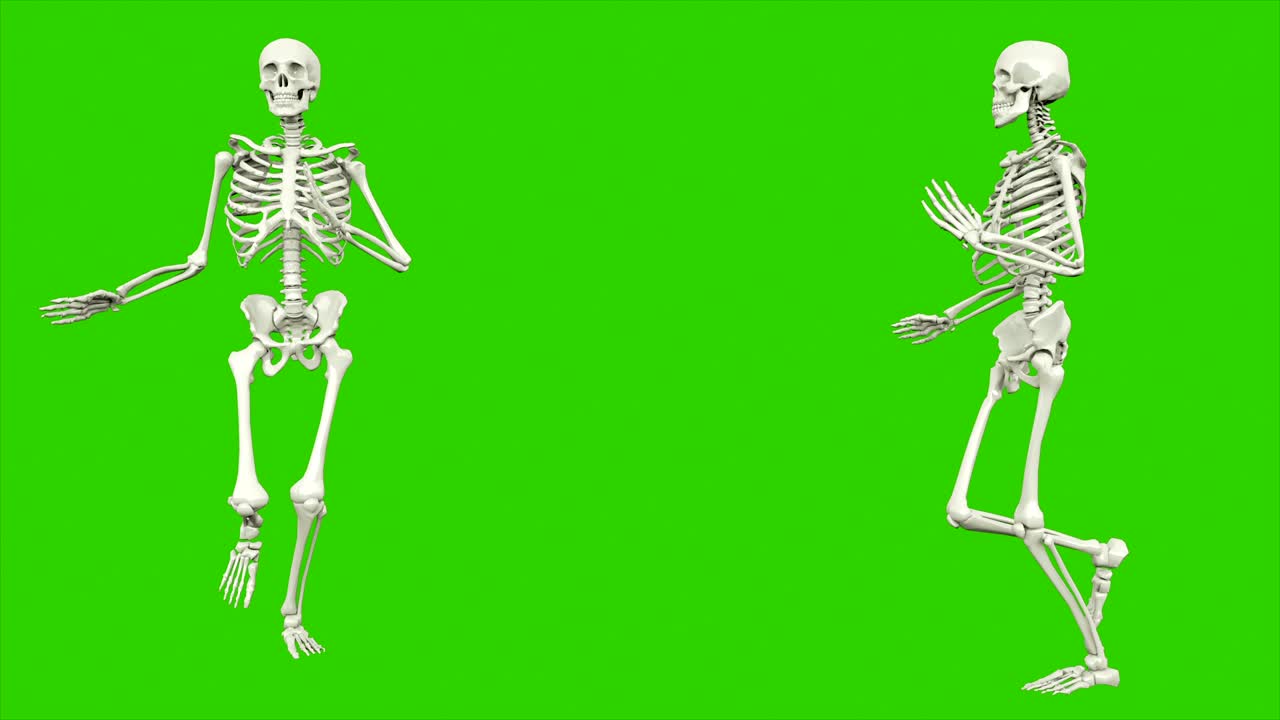 skeleton in corsa. animazione a loop senza soluzione di continuità sullo schermo verde.