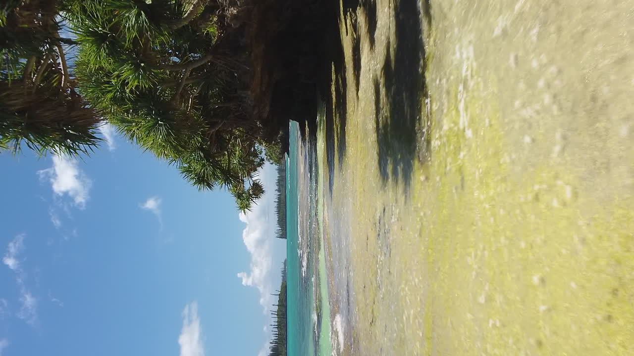 puente vertical bajo a lo largo de la costa erosionada en la playa de la isla de los pinos