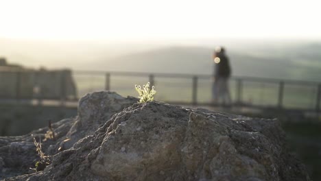 Rotierende-Aufnahme-Eines-Paares,-Das-Entlang-Einer-Brücke-In-Medina-Sidonia-Cadiz,-España,-Geht