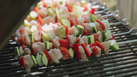 delicious skewers or brochettes with chicken and vegetables cooking on grill