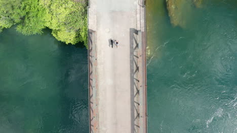 birdseye view of young woman walking her pet dog