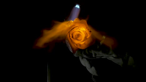 metal rose being forged