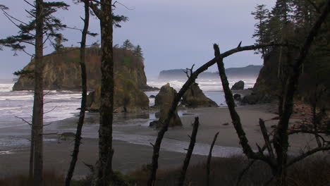 a pretty shot of the oregon coastline